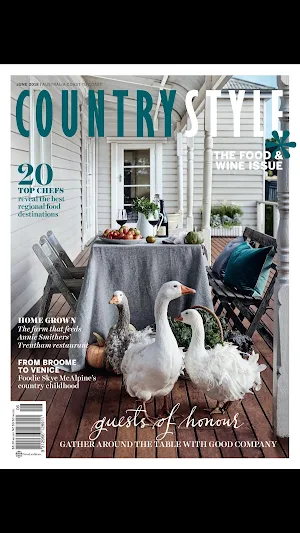 Country Style Screenshot 0
