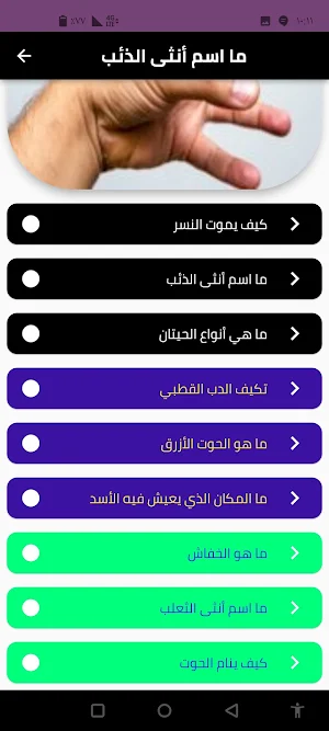 حيوانات مفترسة Screenshot 2