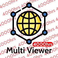 Multi Viewer