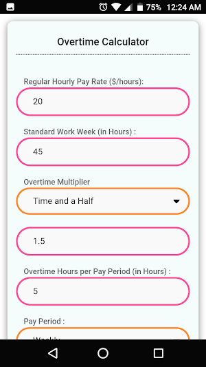 Salary, PayCheck & OverTime Calculator Screenshot 3