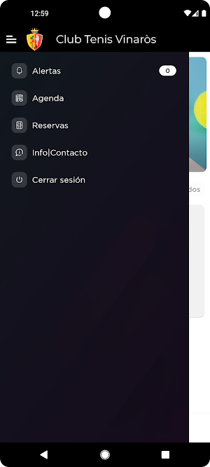 Club de Tenis/Padel Vinaròs Screenshot 2