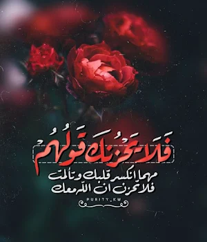 خلفيات اسلامية بدون انترنت Screenshot 3