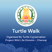 Turtle Guardian