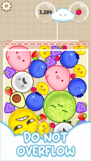 Watermelon Challenge Screenshot 3