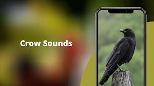 Crow Sounds - Crow Calls & Ringtones Screenshot 0