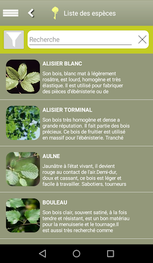 Clés de forêt Screenshot 2