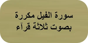 سورة الفيل مكررة Screenshot 0