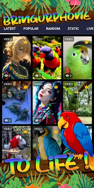 parrot wallpaper Screenshot 1
