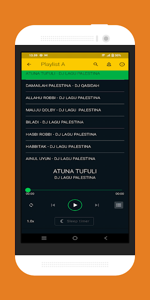 Dj Lagu Palestina Offline Screenshot 2