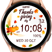 AZ206 Thanksgiving Day Watch