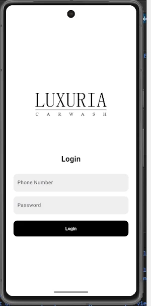 Luxuria Car Wash Screenshot 0