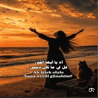 أغاني تركية جميله 2027