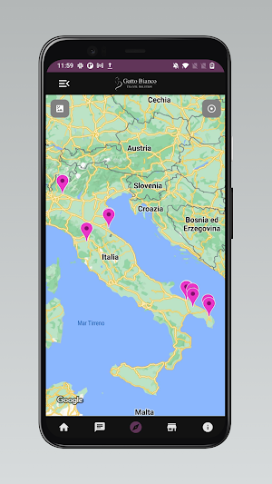 Gatto Bianco Screenshot 1