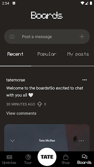 Tate McRae Screenshot 3