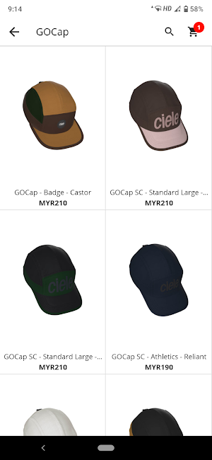 CAPTERRITORY Screenshot 1