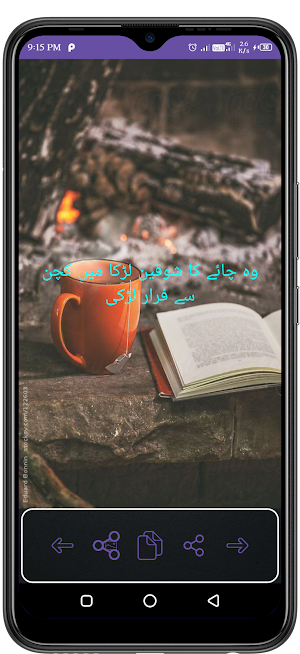 Urdu Poetry  & Status Offile Screenshot 3