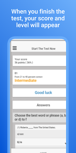 English Placement Test Screenshot 2