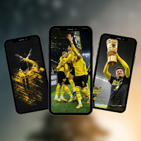 Borussia Dortmund Wallpapers