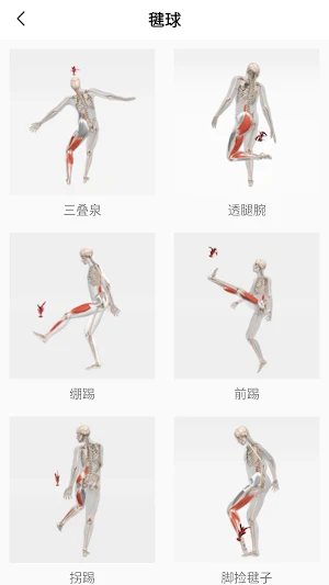 Muscle1 Screenshot 0