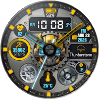 Bumble B1 Watch Face