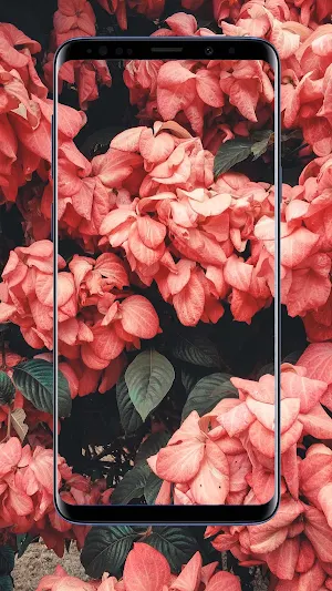 Spring Wallpapers and Backgrounds Screenshot 1