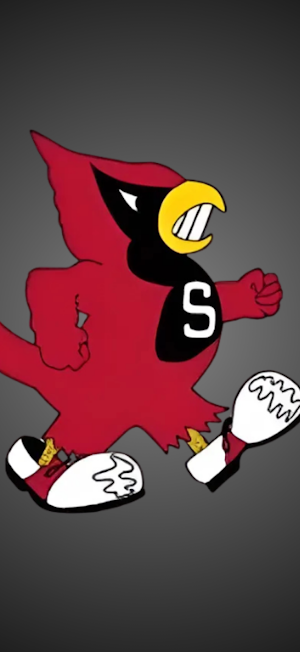 Southport Cardinals Screenshot 0