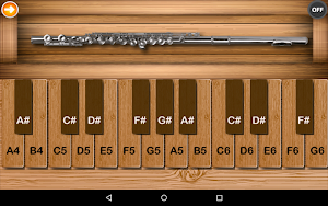 Professional Flute Elite Screenshot 0