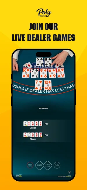 Poly Casino Screenshot 2