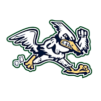 Roadrunner Baseball Academy