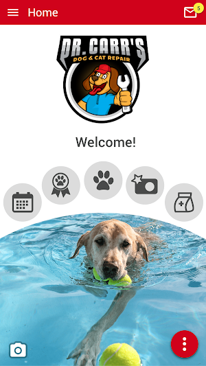 Dr Carrs Dog & Cat Repair Screenshot 0