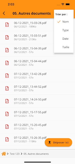 CALCULUS INTERNATIONAL Screenshot 2