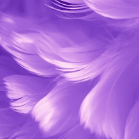 Purple Wallpapers HD