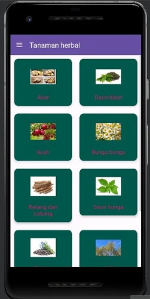 Herbal Plants Screenshot 0