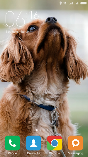 Cocker Spaniel Wallpapers Screenshot 1