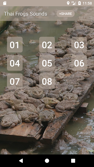 Thai Frog Sounds Screenshot 0