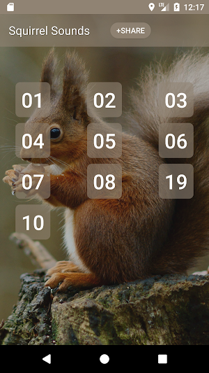Squirrel Sounds Screenshot 0