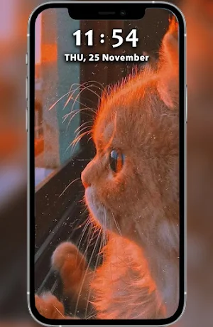 Cute Cat Wallpaper Offline HD Screenshot 2