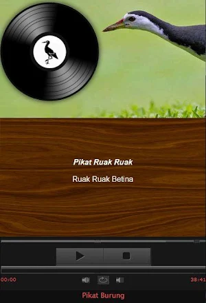 Caller voice of the Bird Amaurornis phoenicurus Screenshot 2