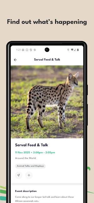 Wild Discovery Screenshot 3