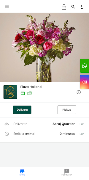 Plaza Hollandi Screenshot 3