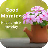 happy tuesday good morning