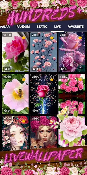 pink rose wallpaper Screenshot 2