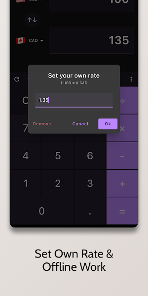 Currency Converter Calculator Screenshot 2