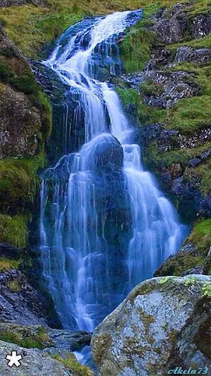 Nature Animated Wallpapers Screenshot 3