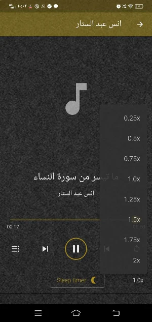 انس عبد الستار MP3 قران اناشيد Screenshot 2