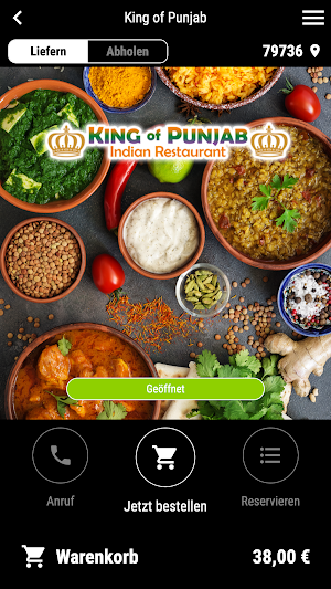 King of Punjab Screenshot 0