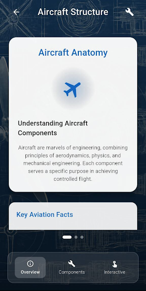 Aviation Acad Screenshot 1