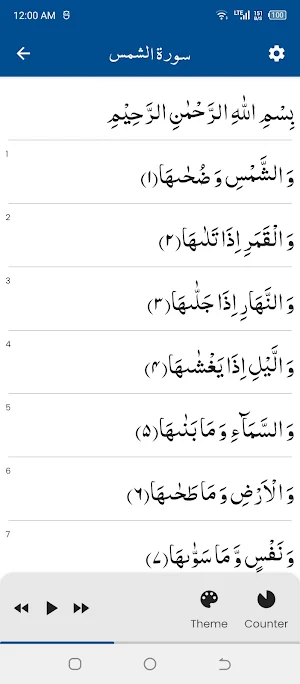 Surah Shams سورة الشمس Screenshot 0