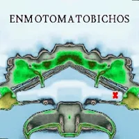 ENMOTOMATOBICHOS