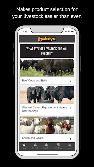 Crystalyx Screenshot 0